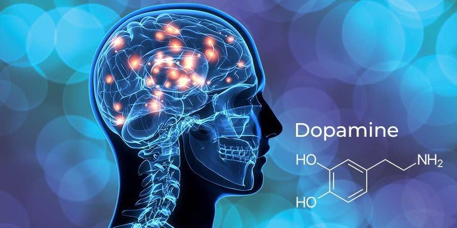 dopamin dopamine